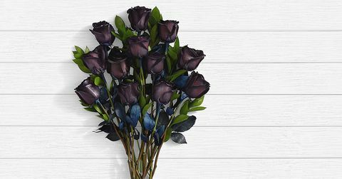 ProFlowers Black Roses