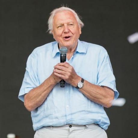 David Attenborough