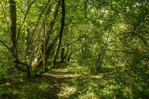 došková chata na predaj v doltonu, winkleigh, devon