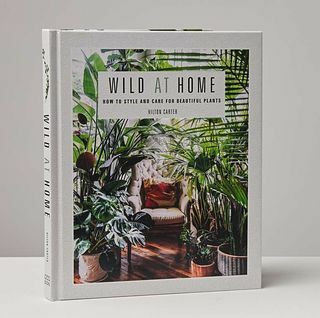 Kniha Divočina doma: Štýl a starostlivosť o krásne rastliny
