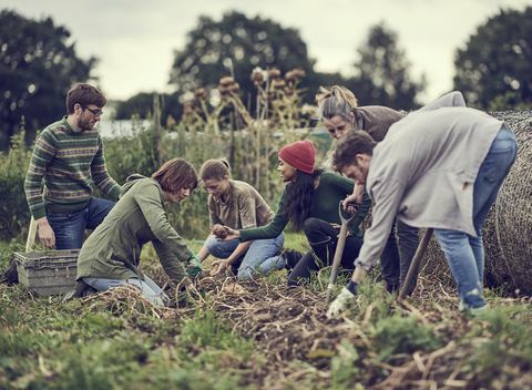 Skupina komunitných farmárov pracujúcich na ich pridelení