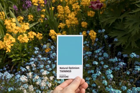 Twinings Infusionions Natural Optimism v spojení s Pantone 