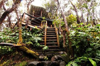 Treehouse na sopke Kilauea