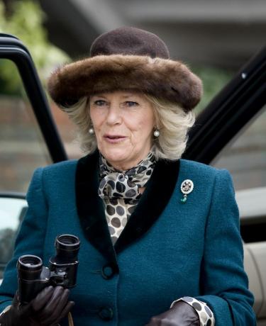 Camilla vojvodkyňa z Cornwallu cheltenham festival dámy deň