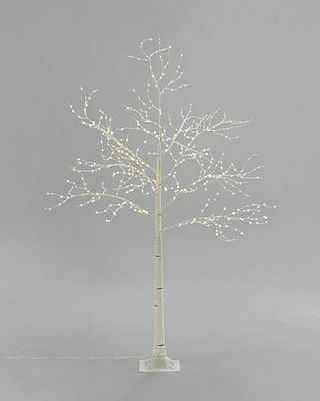 Predosvetlená breza, čisto biela, 6 stôp
