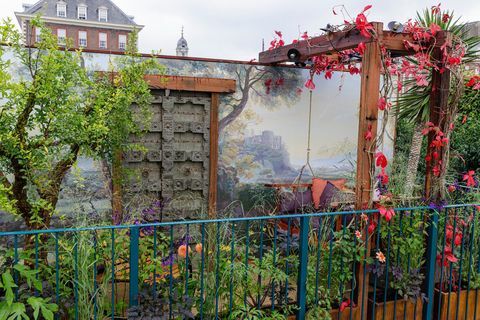 rhs chelsea kvetinová výstava 2021 obsahuje záhrady