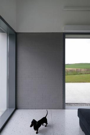 House Lessans, úžasne jednoduchý dom v County Down navrhnutý McGonigle McGrath, bol pomenovaný RIBA House of the Year 2019