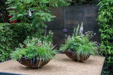 rhs chelsea kvetinová výstava 2021 kontajnerové záhrady