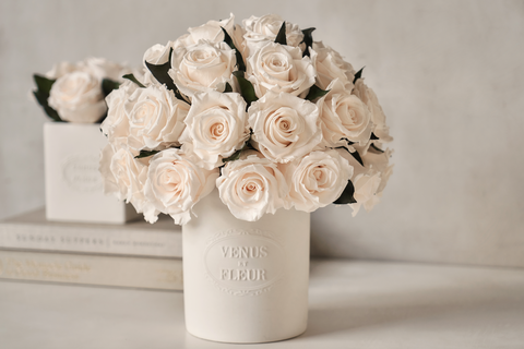 záhradné ruže v bielej farbe