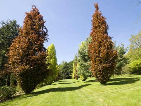 Jedna z najlepších rezidencií Dartmooru na predaj