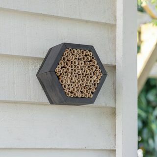 Shetlandský šesťhranný včelí dom