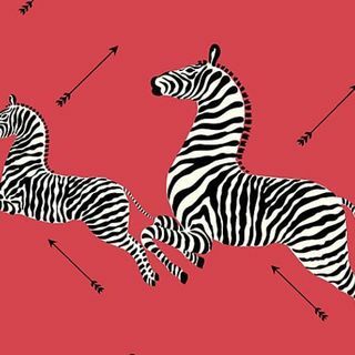 Scalamandre Zebras - Tapeta Masai červená tapeta