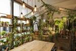 Airbnb a Pantone spolupracujú na Zelení „Outside In“ v Londýne