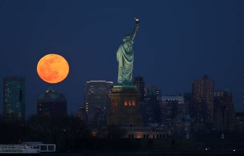 Super červ sa zdvíha v New Yorku