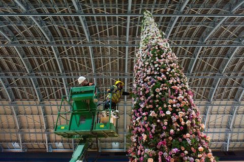 47 ft kvetinový vianočný strom odhalený na medzinárodnej stanici St Pancras v Londýne.