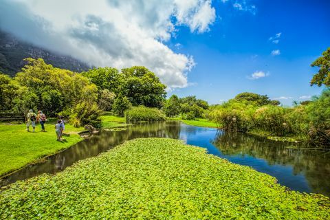 Záhrady Kirstenbosch