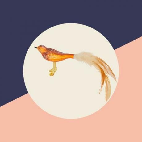 partneri john lewis, cetka oranžového vtáka v Bloomsbury