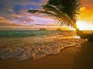 Havaj chce zaplatiť 60 000 dolárov za prácu v raji