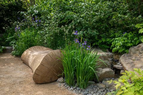 the place2be zabezpečuje zajtrajšiu záhradu navrhol jamie butterworth rhs chelsea flower show 2022