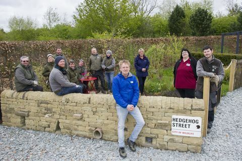 Prvá trvalá záhrada Hedgehog Street vo Veľkej Británii bola predstavená v RHS Harlow Carr, North Yorkshire