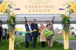 Cardiff Flower Show 2020