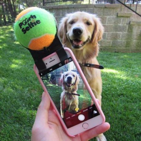 pooch selfie smartphone príloha pre fotografovanie psov