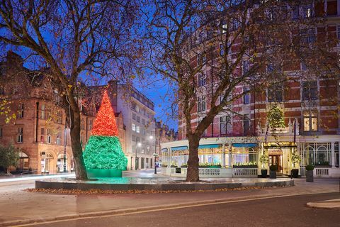 The Connaught Christmas tree 2018 photo