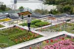 Japonská záhrada 100 schodov