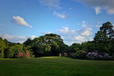 St Ann's Court - Chertsey - Surrey - záhrada - Knight Frank