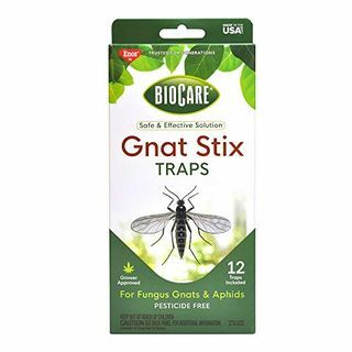 Pasce BioCare Gnat Stix