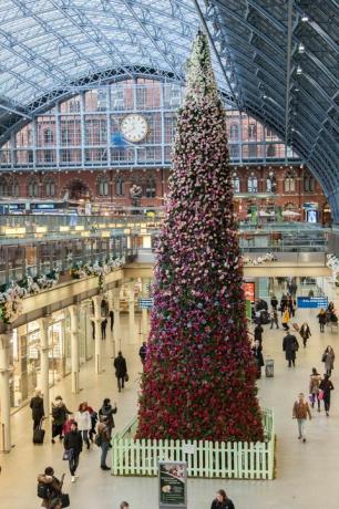 47 ft kvetinový vianočný strom odhalený na medzinárodnej stanici St Pancras v Londýne.