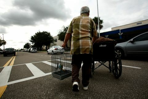 Masívny hurikán Irma medveďov na Floride