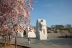 Sledujte živé vysielanie D.C. Cherry Blossoms uprostred koronavírusu