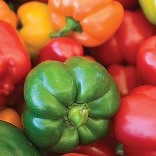 Sladká paprika „vylepšený mix letného šalátu“