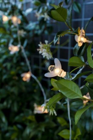 Bumble Bee Solar Fairy Lights