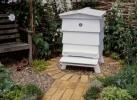 Ako prilákať včely do vašej záhrady