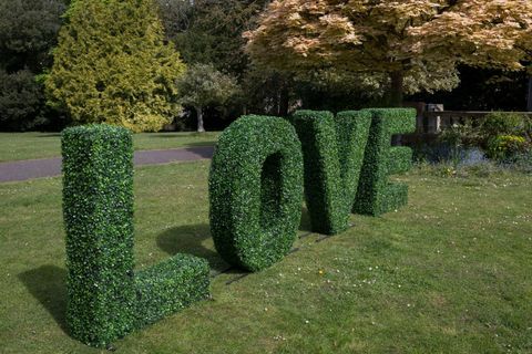 Slovo topiary - love - slovo