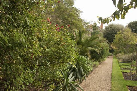 Chelsea Physic Garden, Londýn, Anglicko