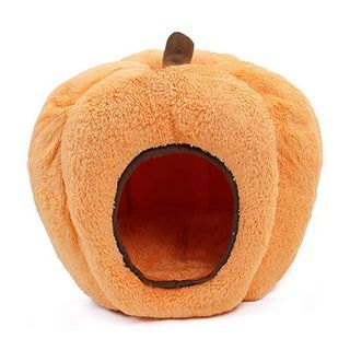 Pumpkin Pet Bed