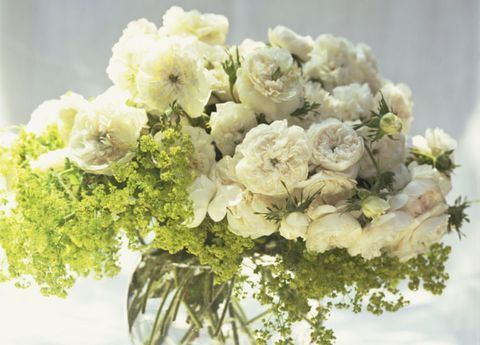 biele kvety v skle-vázy