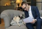 Realitná kancelária Emoov ponúka pre psov špeciálne prehliadky domu