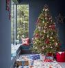 Vianočné odpočítavanie: 6. decembra je pre výber dokonalého vianočného stromu