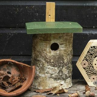 Birch Log Nest Box National Trust