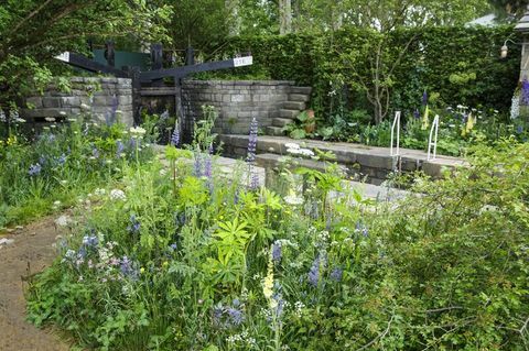 Kvetinová výstava Chelsea 2019 - Vitajte v záhrade Yorkshire od Mark Gregory