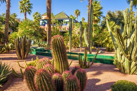 Botanická záhrada Jardin Majorelle v Marrákeši