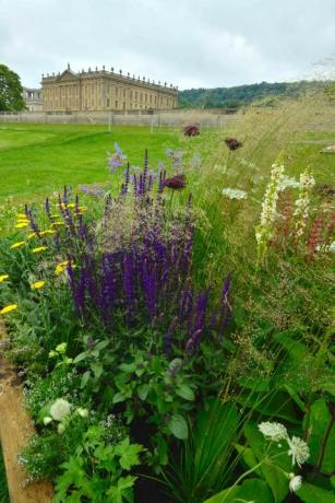 RHS Chatsworth Flower Show - kvetinové hranice