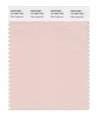 Farebná správa Pantone Fashion - jar 2017 - Pale Dogwood