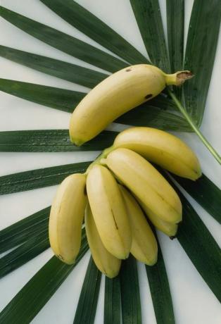 miniatúrne ovocie, banány