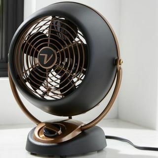 Gunmetal Petite Fan