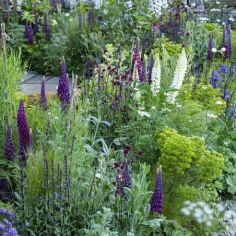 schémy výsadby záhrad vítané v záhrade yorkshire